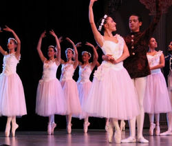 "Nutcracker"