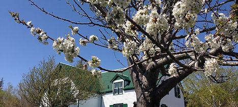 シャーロットタウン発混載ツアー Pei Select Tours シャーロットタウン発混載ツアー Pei Select Tours