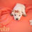 Thumbnail: Ginko