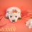 Thumbnail: Hyacinth 