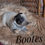 Thumbnail: Bootes