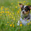 Thumbnail:  Yumi