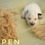 Thumbnail: Aspen