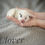 Thumbnail: Clover