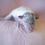 Thumbnail: Chimera 