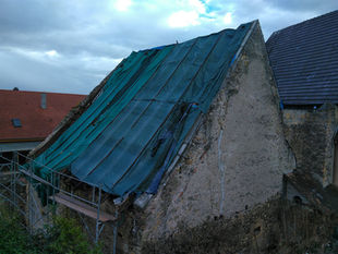 image00013.jpeg