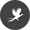 Bird Icon.png