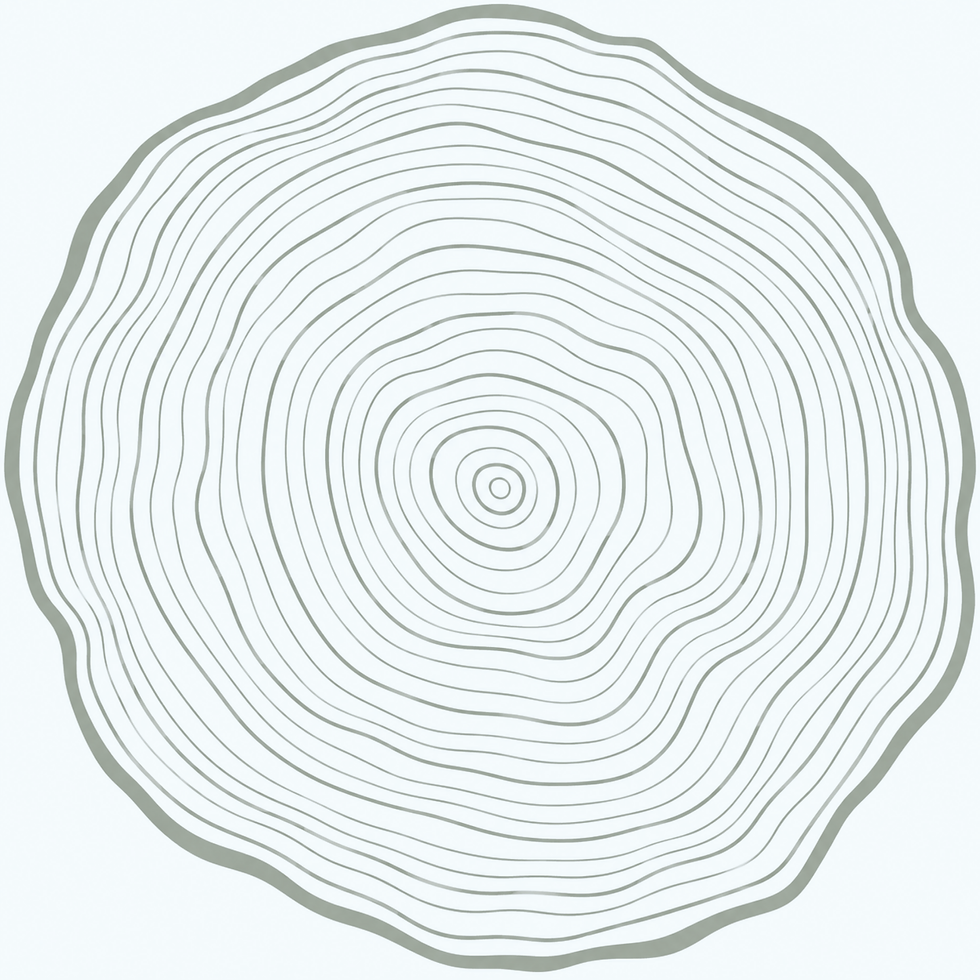 Untitled design (2).png