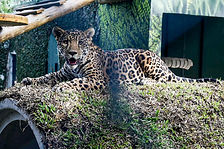 WhatsApp Image 2026-02-13 at 15.04.39.jpeg