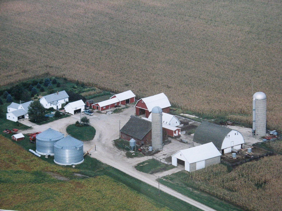 Homestead_1992