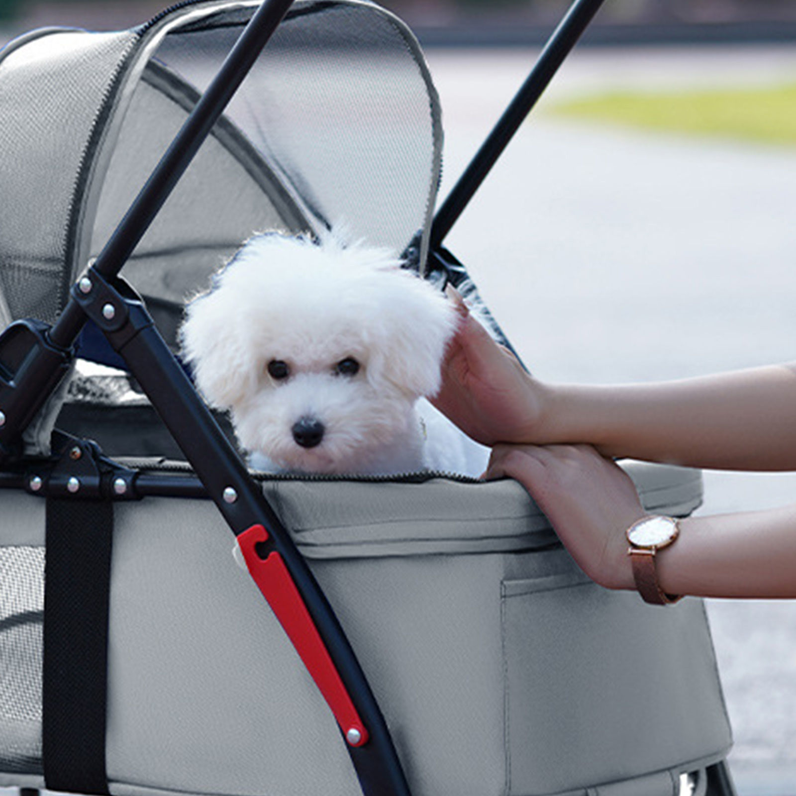 Complete Gray Collapsible Pet Carriage: Features a Removable Pet Basket with a S