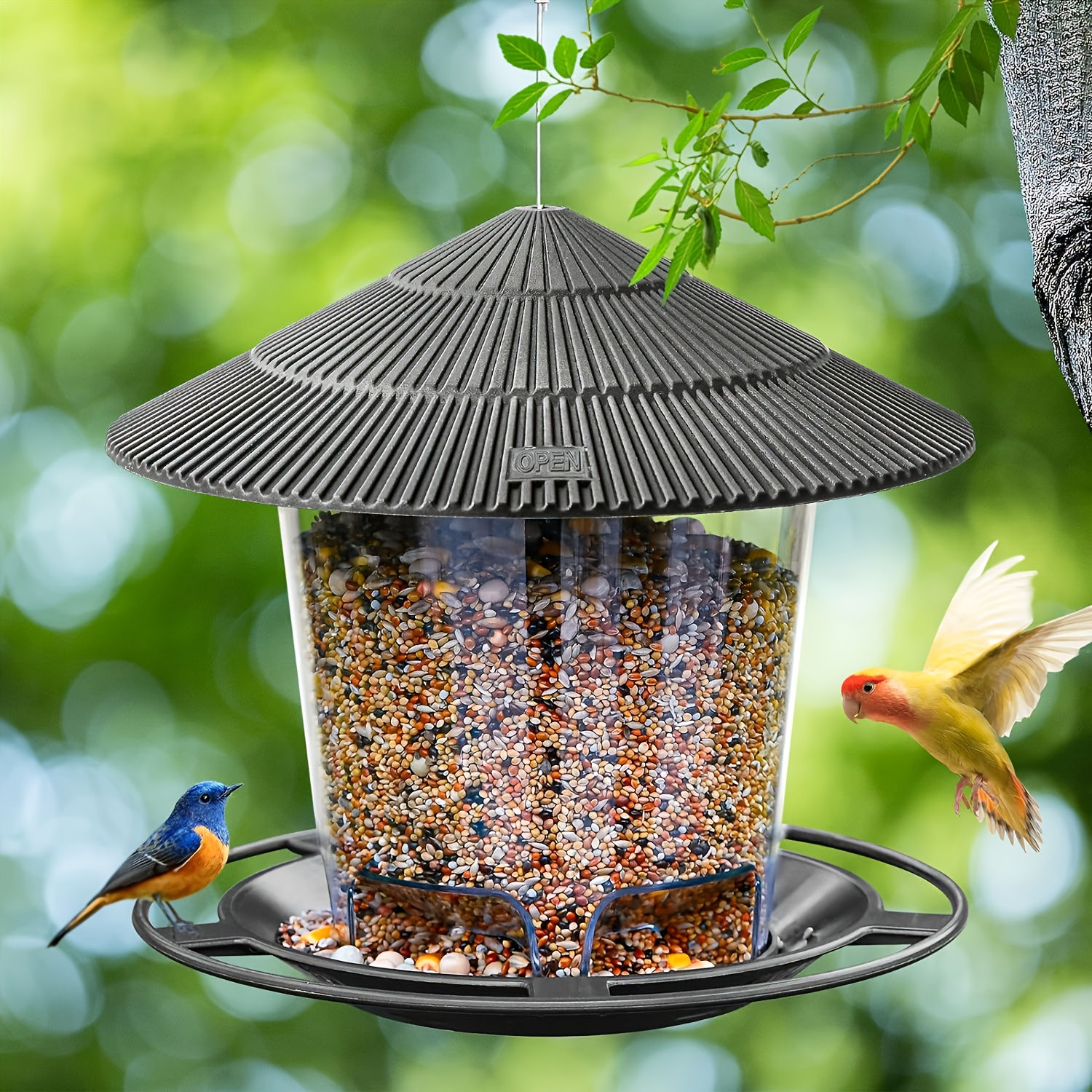 Minimalist Outdoor Garden Hanging Bird Feeder, Popular Automatic Hummingbird Fee