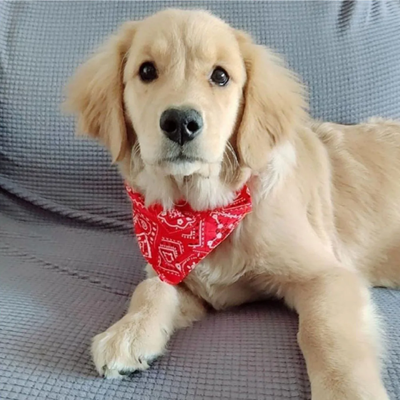 Thumbnail: Dog Collar Bandana Scarf Collar Adjustable Dog Bandanas Collar Puppy Cat Neckerc