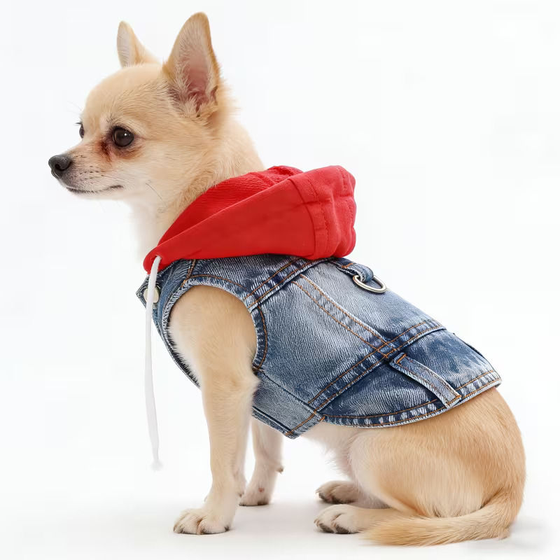 Denim Pet Clothes for Small Dogs Puppy Jeans Hoodie with Gray Cap Blue Denim Chi