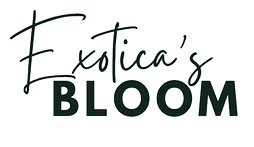 Exotica's Bloom Logo