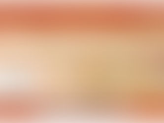 RALLY DAKAR 2026 S FLEXIDRIVE INVEST - VII.ETAPA