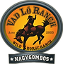 Wild Horse Ranch event venue