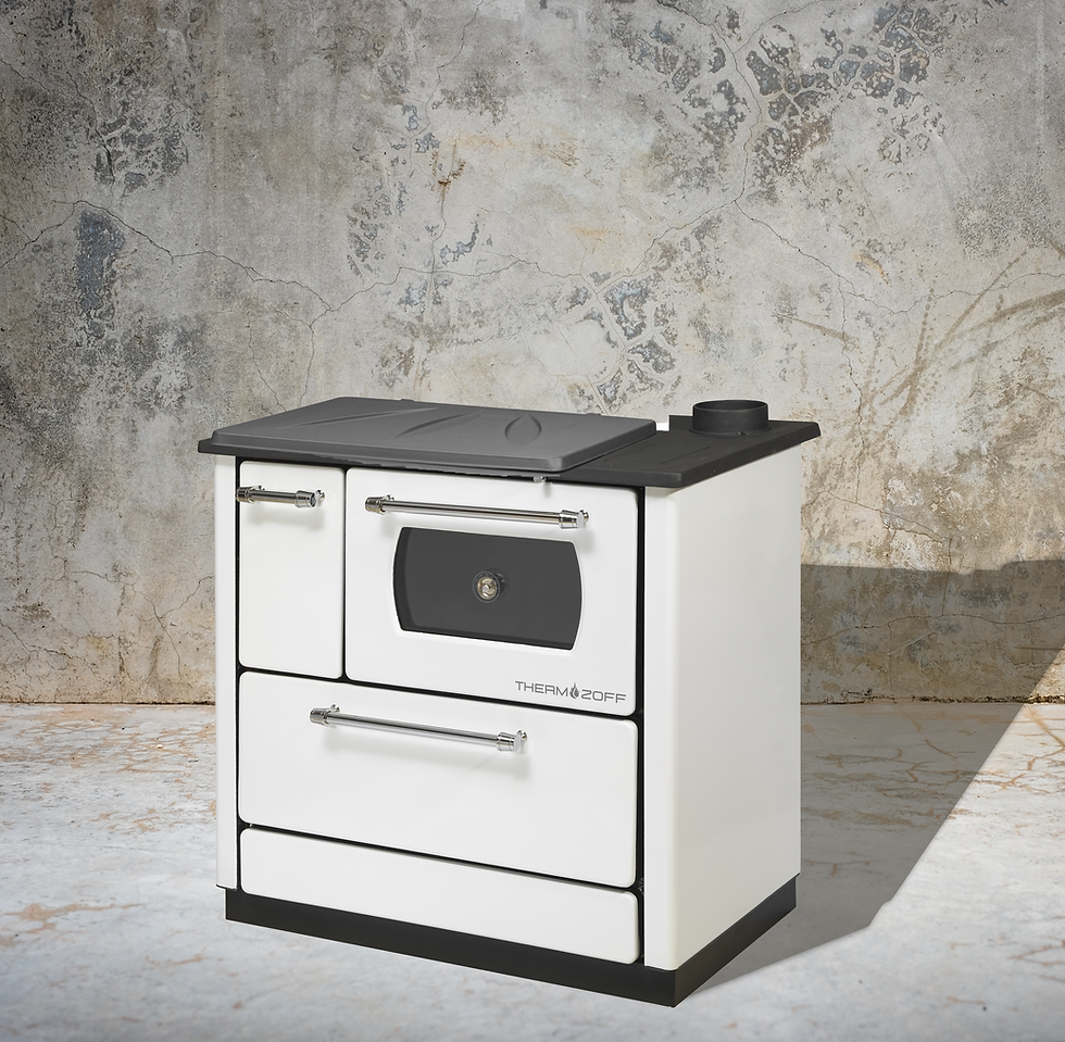 Miniaturbild: TZ - CS 4040
