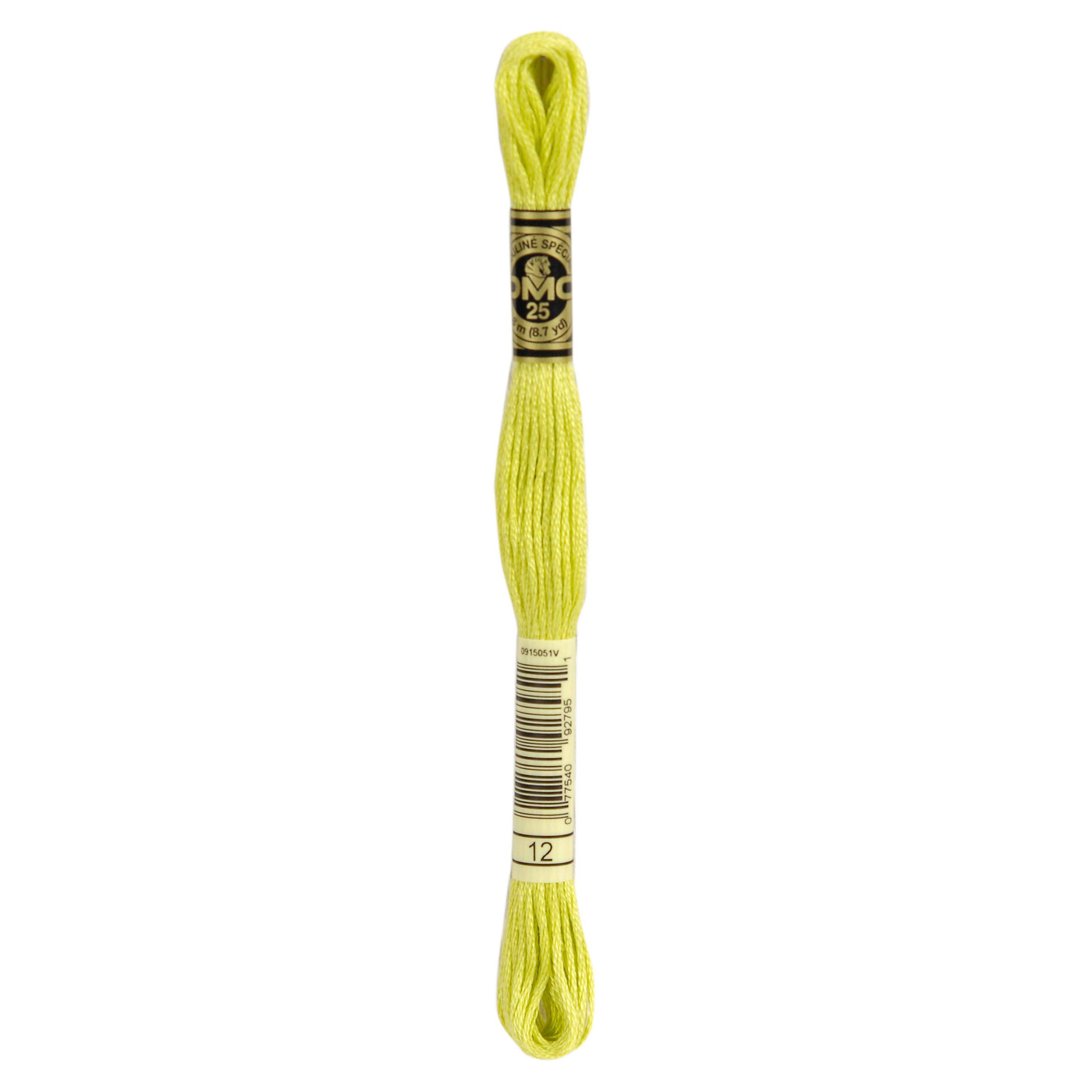DMC12 Mouliné Stranded Cotton Embroidery Floss - Craftmania Stock Photo 1