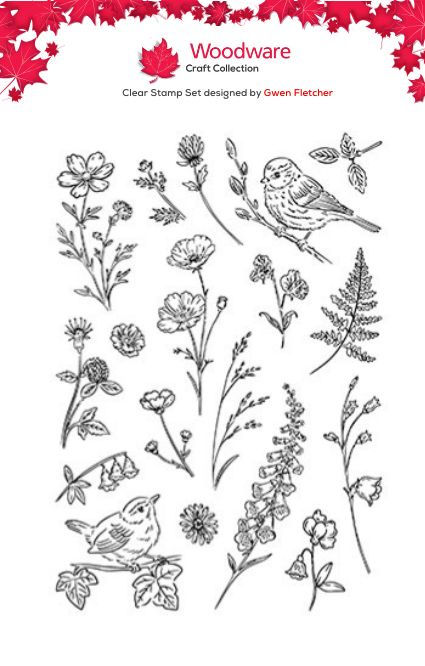 Woodware Wildflowers A6 Clear Stamp Set By Gwen Fletcher