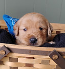 IMG_20250719_121713977~2.jpg