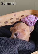 IMG_20250702_140533797~3.jpg