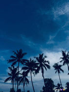 E6733781-401C-41CD-B6D2-D9519F52E0C5.jpeg