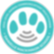 Jody Crotty DMS_CPP_seal_600.png