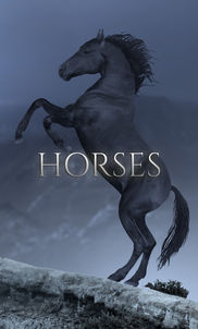 Horses - Create custom horse animations in Adobe After Effects