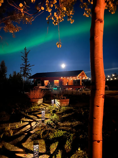 CabinNL.jpeg