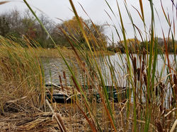 22555078_10210555849549336_1656646771585