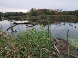 69534585_10215068797730220_5260244475468