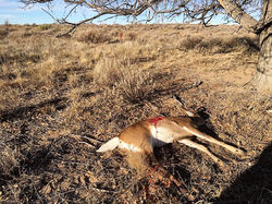 15181708_10207993371888996_3254270466788871641_n[1]