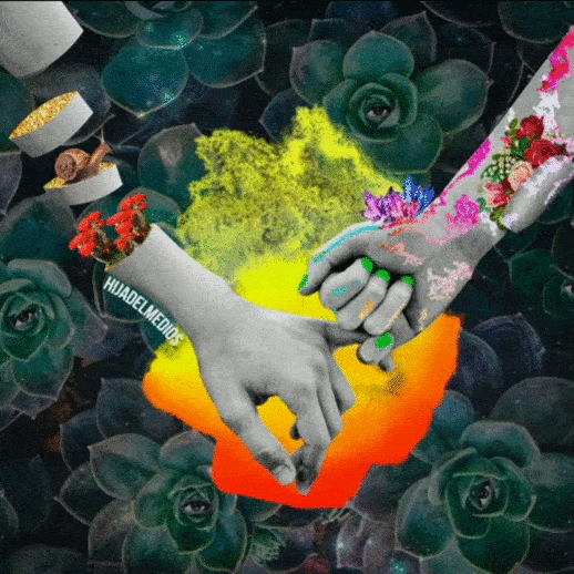 DEUTERANOPIA (6).gif