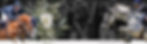 Main SLider 3 - for website.jpg
