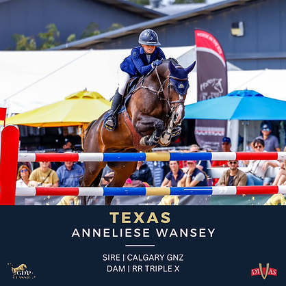 TEXAS Horse Story.png