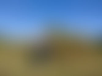 10月の対面・オンランレッスン予定