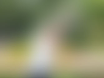 夏休みの心身バランス