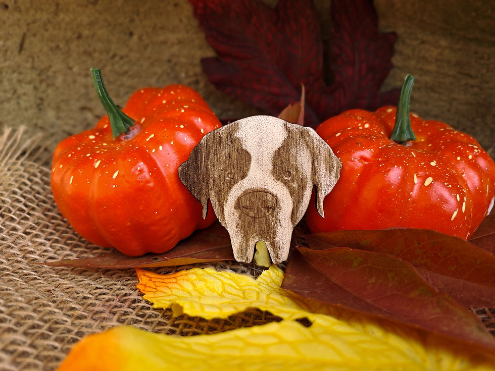 Bernardýn - brož/klip na číslo