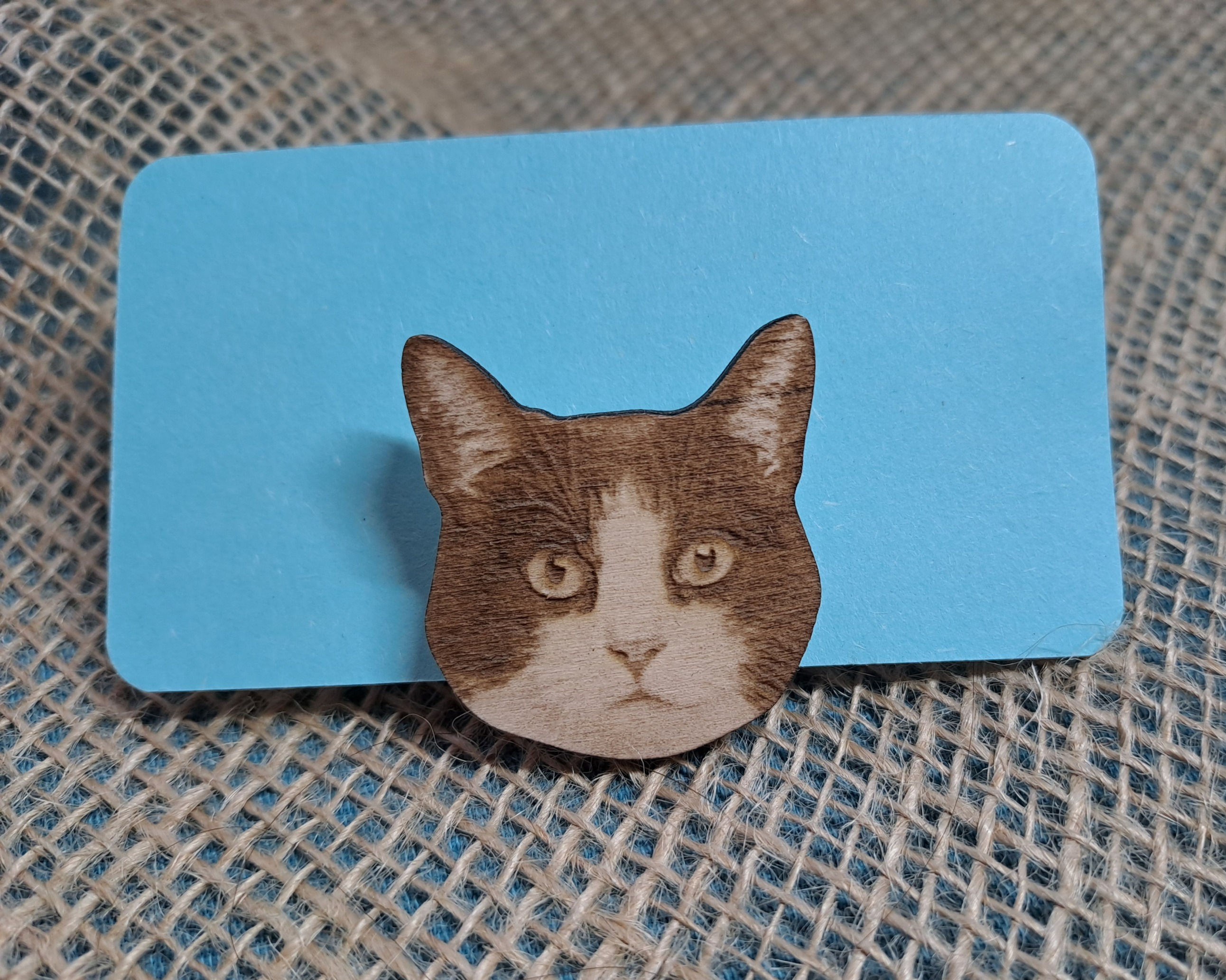 Kočičí brož IV - brož/klip na číslo