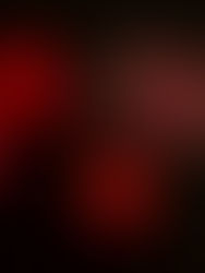 ブラックフライデー