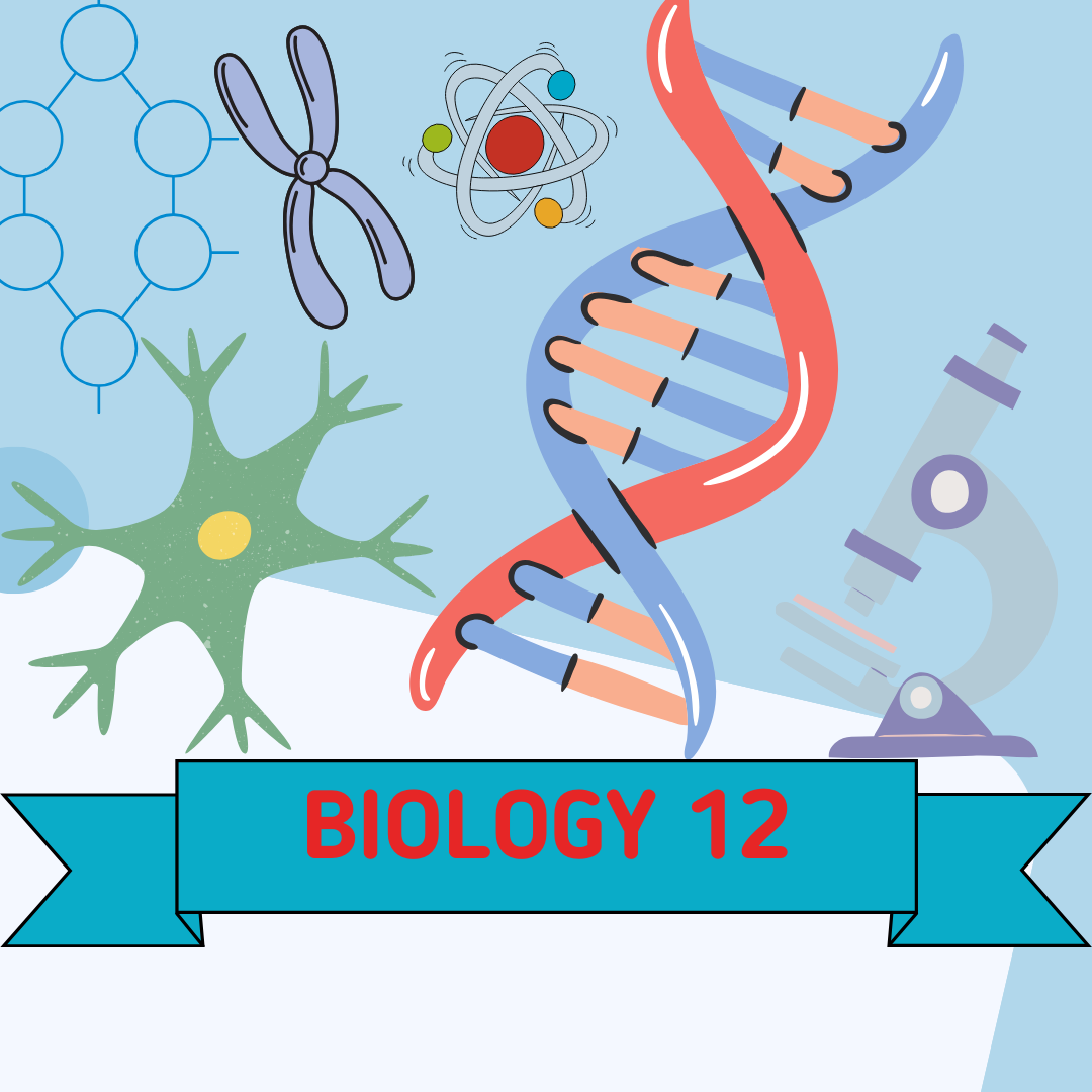Grade 12 Biology- SBI4U