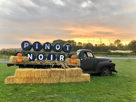 Fall season at the North Georgia Vineyards, Wineries and Tasting Rooms near you.....