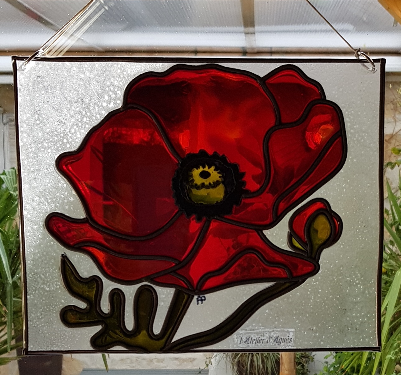 Coquelicot