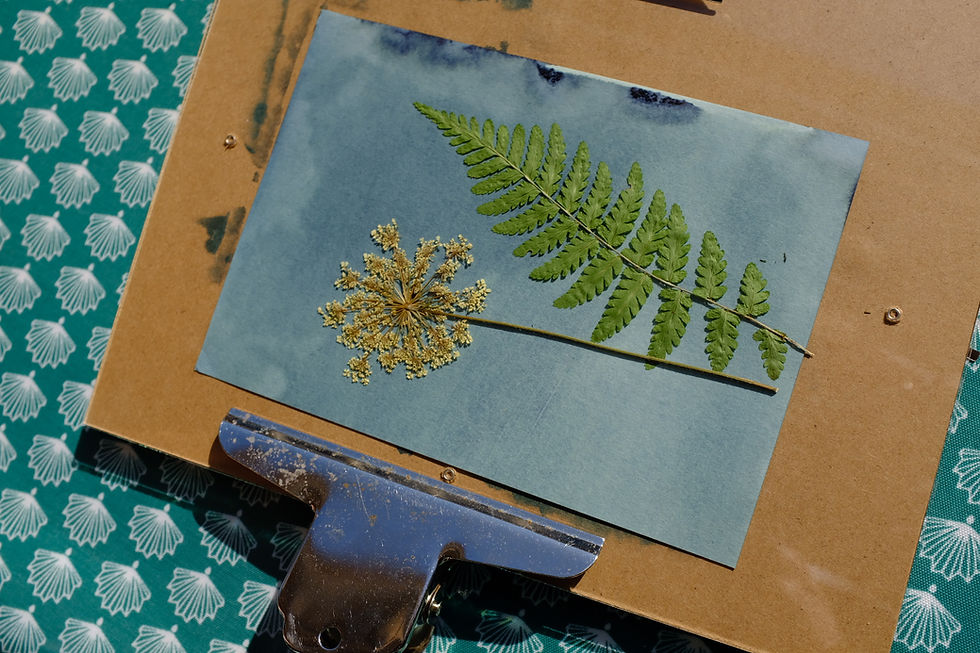 Miniature : Atelier cyanotype samedi 18 avril de 10h à 13h