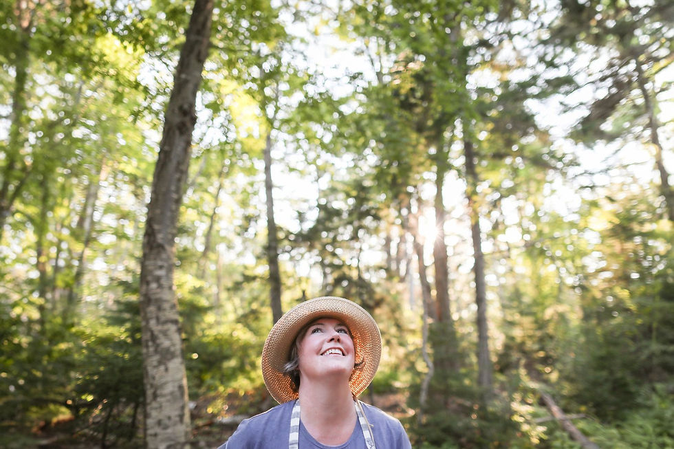 Pollinator Meditation Walk with Outdoor Guide Nev Hoffman