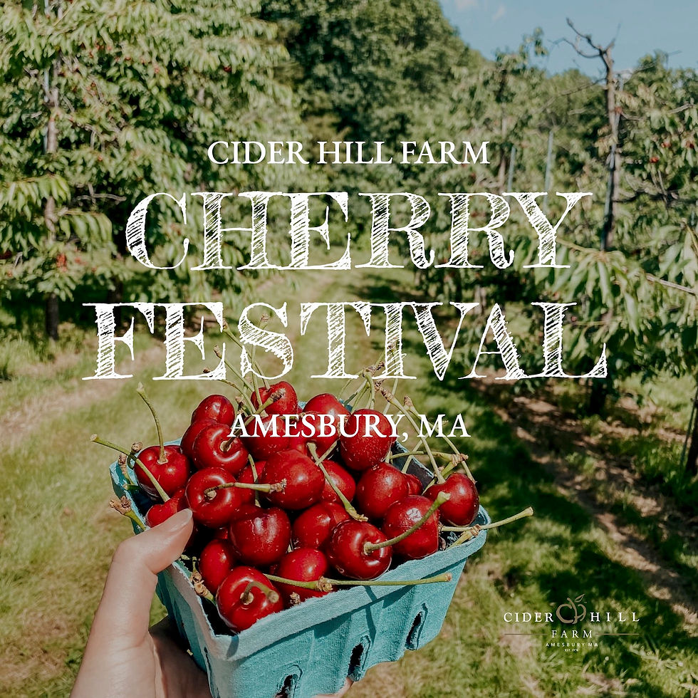 1st Annual Cherry Festival