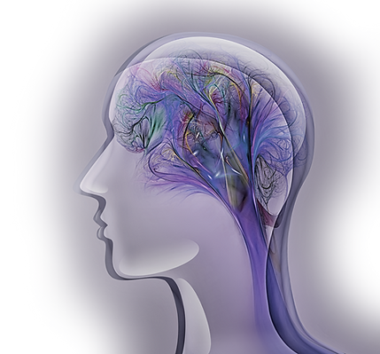 brain graphic for fertilize your brain