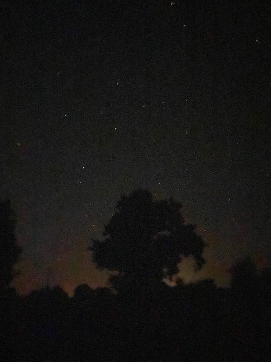 arcelin-peintre-contemporary-art