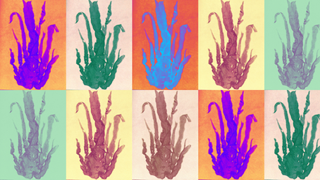 Establishing reference genomes for two red macroalgae (Porphyra dioica and Porphyra linearis): coupling genomic information to complex life cycle variation.